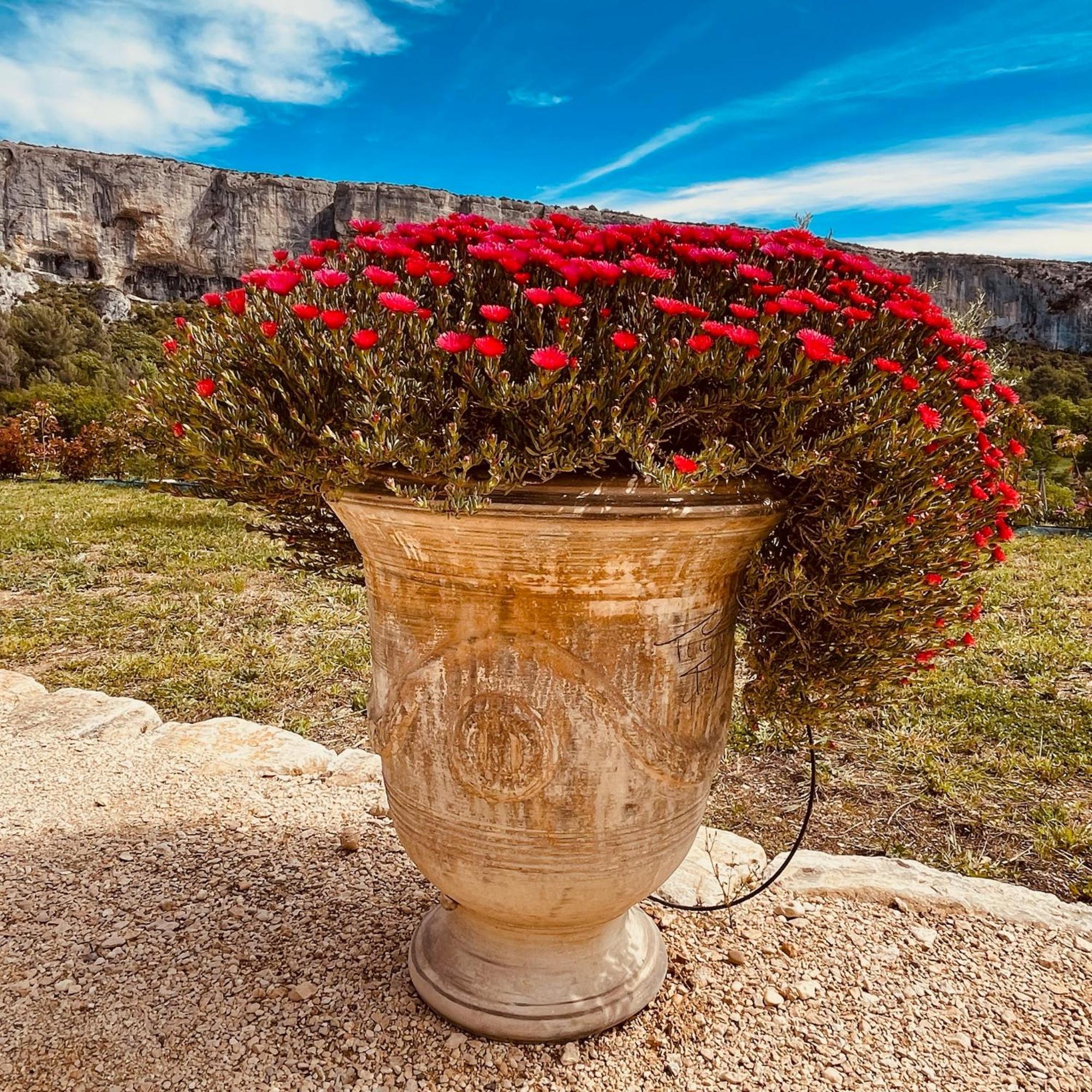 Gite La Madeleine Du Luberon. Lioux Luaran gambar